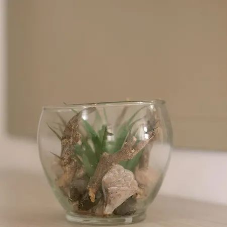 Pollutrendy فندق مبيت وإفطار