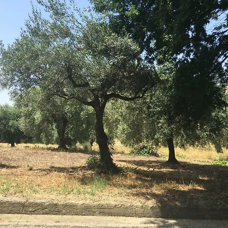 Pollutrendy Alojamento de Acomodação e Pequeno-almoço