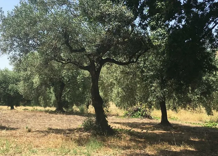 Pollutrendy Bed & Breakfast